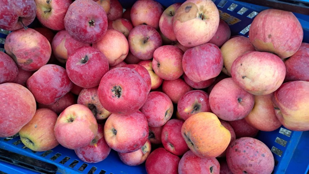 Blestemul Sarmalelor la Conacul Zăgujeni - Vest Online.ro