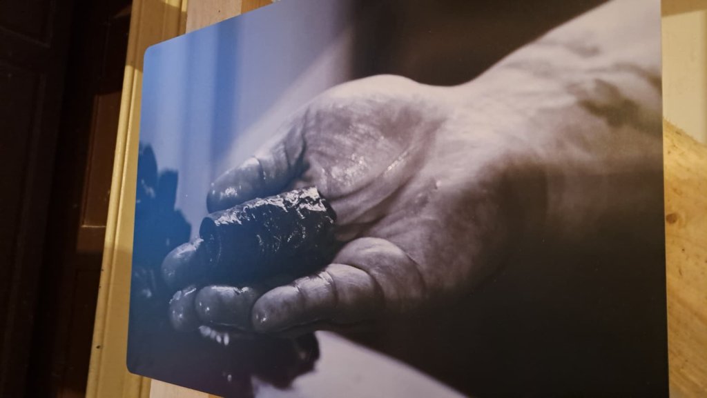 Blestemul Sarmalelor la Conacul Zăgujeni - Vest Online.ro