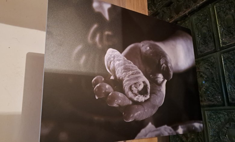 Blestemul Sarmalelor la Conacul Zăgujeni - Vest Online.ro