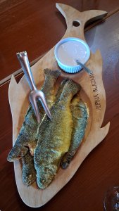 Alpina Blazna, complexul turistic din inima Munților Rodnei dezvoltat de doi tineri antreprenori