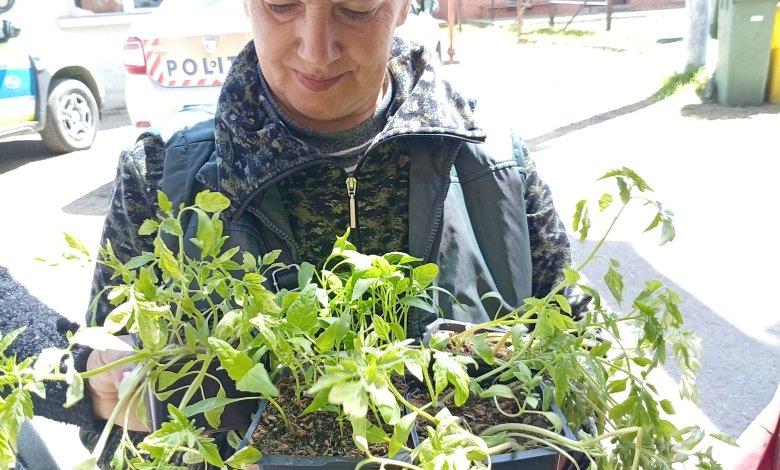 Banca Comunitara de Seminte cu Traditie din Valea Almajului