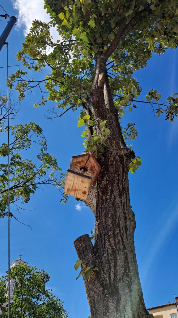 Prizren, Kosovo – dincolo de așteptări