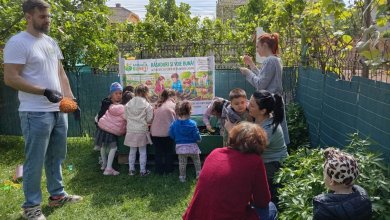 Ambasadorii legumelor cu gust - Asociatia BUNETI